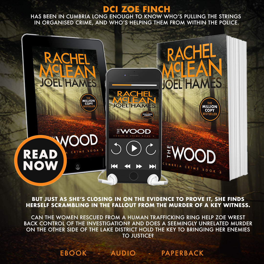 The Wood (Cumbria Crime Book 6)
