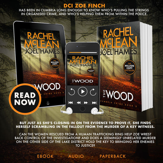 The Wood (Cumbria Crime Book 6)