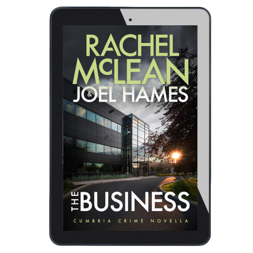 The Business (Cumbria Crime novella 2.5) - ebook