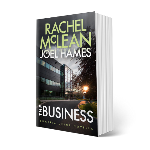 The Business (Cumbria Crime novella 2.5) - paperback