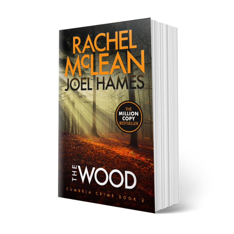 The Wood (Cumbria Crime Book 6) - Paperback